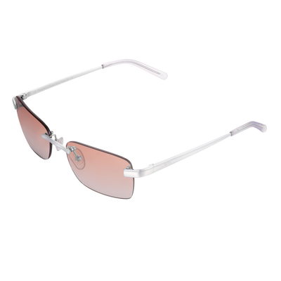 Men's Eyewear Brown | Silver